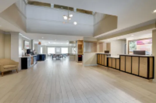 索內斯塔ES套房-聖何塞機場 聖何塞酒店