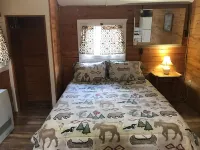 Grandview Cabins & RV Resort - Stuga