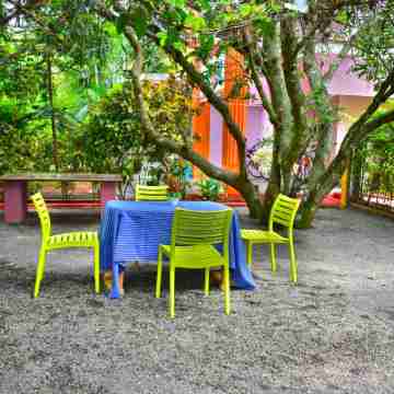 Dolphin Resort Hotel Exterior