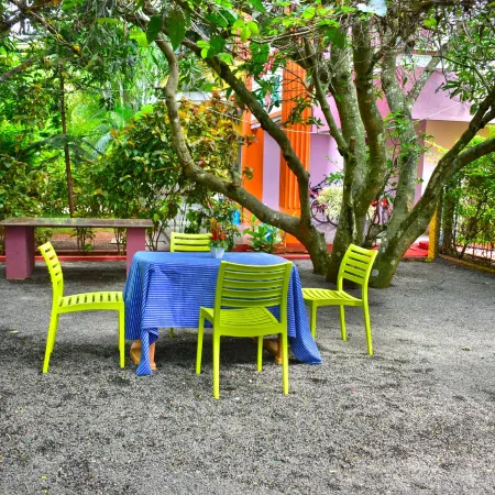 Dolphin Resort