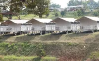 Dmangku Farm Mancak Serang
