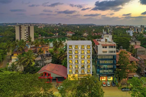 極簡主義帕納吉