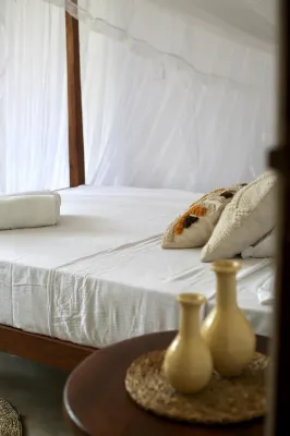 Amlou surf house