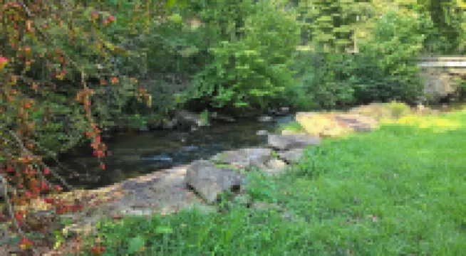 Yellow Creek Cabin