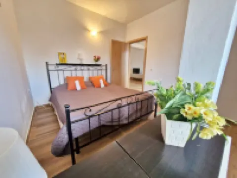 Holiferias NoStress Sal Island Hotel di 