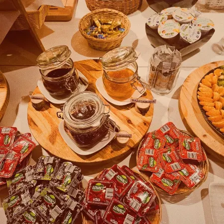 Hotel Borowiecki
