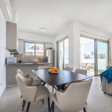 301 Mulberry Court- Contemporary with Large Terrace