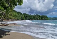 Kinkajoungalows Hotels in Bahia drake