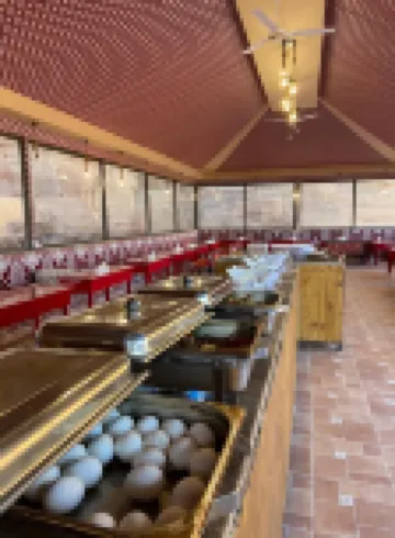 Shaheen Camp Wadi Rum Hotels in Quairah District