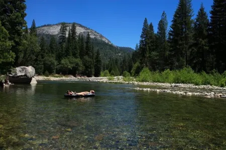 RIVER VIEW Yosemite Cabin in Wawona among the Redwoods,3 Bed 2 bath, jump rock!