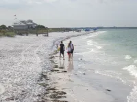 Palm Harbor style family resort Hotels in Palm Harbor