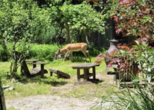 Charming 3 bed Pocono Mountain Getaway