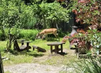 Charming 3 bed Pocono Mountain Getaway