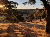 Wine Country Home Located in Heart of Downtown Amador City