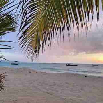 Williams Manor [Across From Ricks Cafe Negril] Fitness & Recreational Facilities