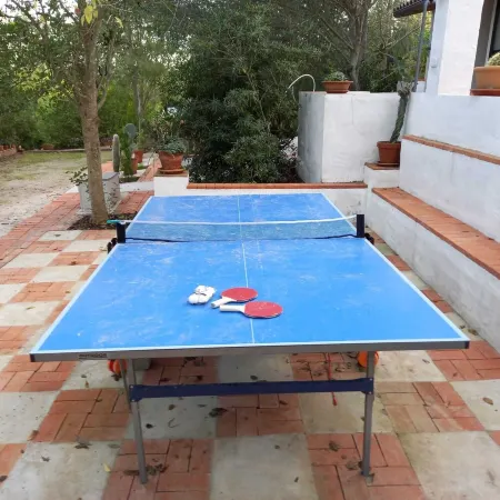 Finca Macharnudo. Country house in Arcos de la Frontera Отели в г. Аркос-де-ла-Фронтера