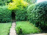 Stunning Private Apartment with a Beautiful Garden Oasis! Hotels in 