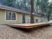 Sequoia National Forest CabinM