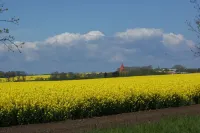 Vacation home Peuler Insel Leiw, in an idyllic location with views of the island landscape Các khách sạn ở Insel Poel
