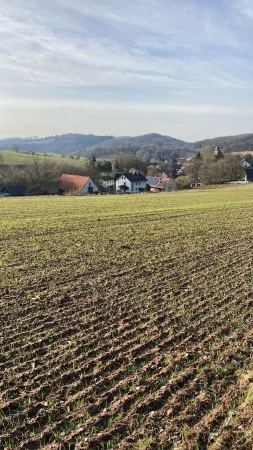 Vacation apartment "Zum Märchenwald"