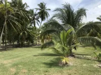 Newly renovated house 1/4 Mile from the Caribean Sea on 10 acres of tropical Hotels in Corozal