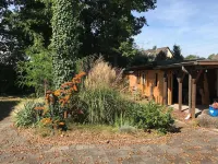 Trade fair visitors Cologne / Dusseldorf: Spacious, quiet apartment close to the forest