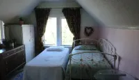 Charming James Bay Guesthouse by Fisherman's Wharf