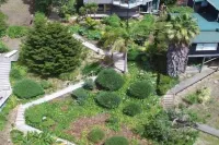 Island View - Stay Waiheke