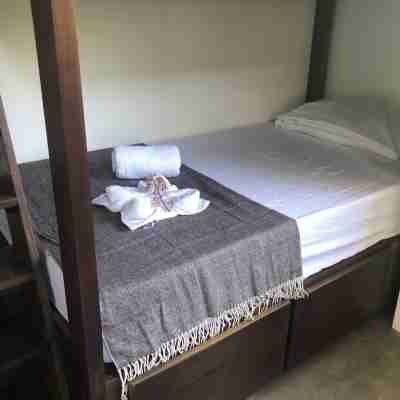 Kraken Cabin-escape in the jungle, abundance of wildlife,  walk to Golfito Bay. Rooms