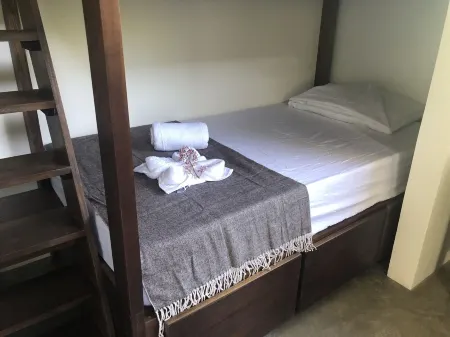 Kraken Cabin-escape in the jungle, abundance of wildlife,  walk to Golfito Bay.