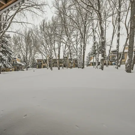 Stone Creek Meadows 205 2 Bedroom Condo