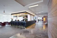 Villa Welcome - Bares