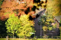 Waldhotel Twiehaus Garni - Pensions