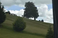 White Hill Country House B&B