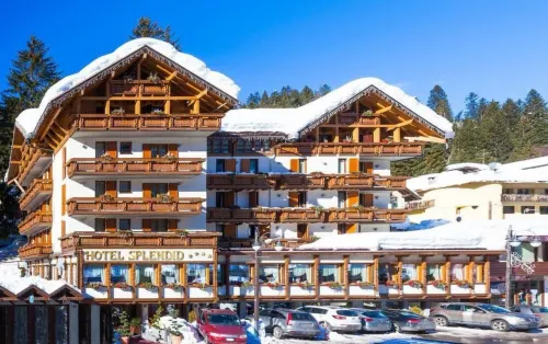 Hotel Splendid Отели в г. Palu