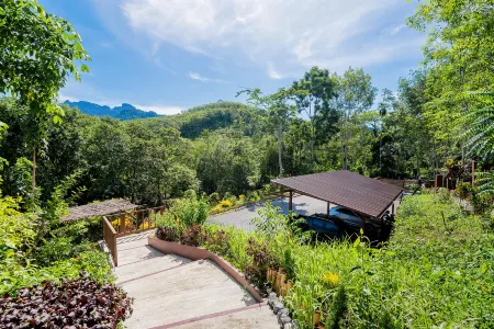 Khao Sok River Home Resort