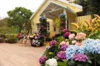 Prado Hill Holiday