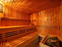 布拉迪斯拉發高級商務酒店