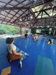 Jungles Edge Hotel, Jiu Jitsu, Muay Thai Retreat Center - Gym