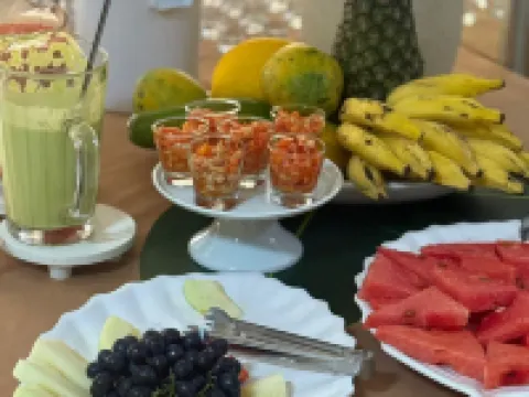 Hotel Presidente Hotéis em Imperatriz