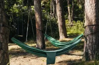 كاستيتيس Hotels near Curonian Spit History Museum