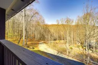 Pet-Friendly Spruce Pine Cabin w/ Private Fire Pit - Homestays