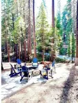 Fabulous, Family - Friendly Sunny_Bear_Chalet