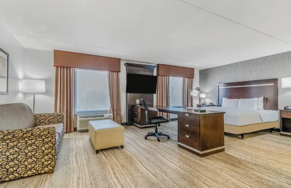 希爾頓歡朋套房酒店-底特律機場羅穆勒斯