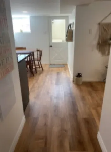 Quinpool Basement Suite