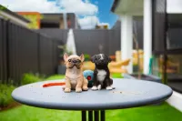 Modern 3B house, pet friendly close nature reserve