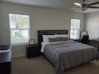 Brand new modern home near the heart of Tampa