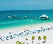 Escape to The Marine – Cozy Studio with a Touch of Nautical Elegance Hotels in Temple Terrace