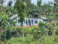 O-T on the rise Bed and Breakfast, three miles away from the Blue Mountain Peak. Hotels in 