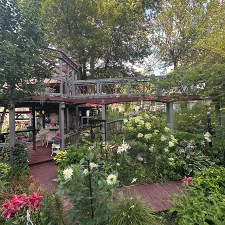Tree house  lots birds  great location . ..... lots to do all summer long ......